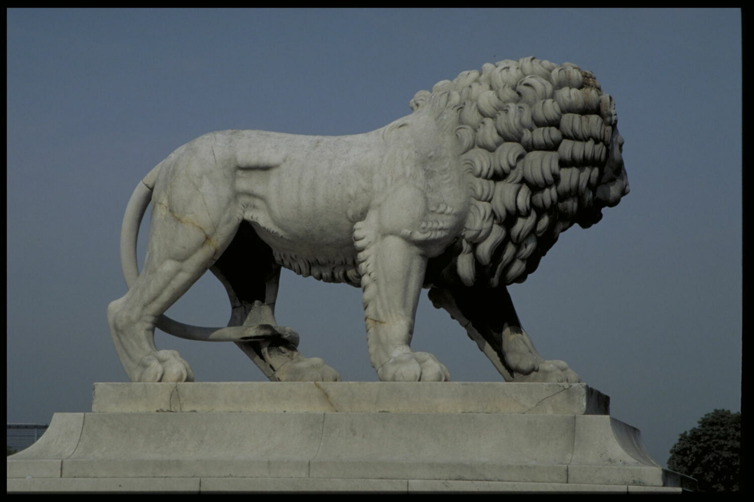 Lion Louvre Collections