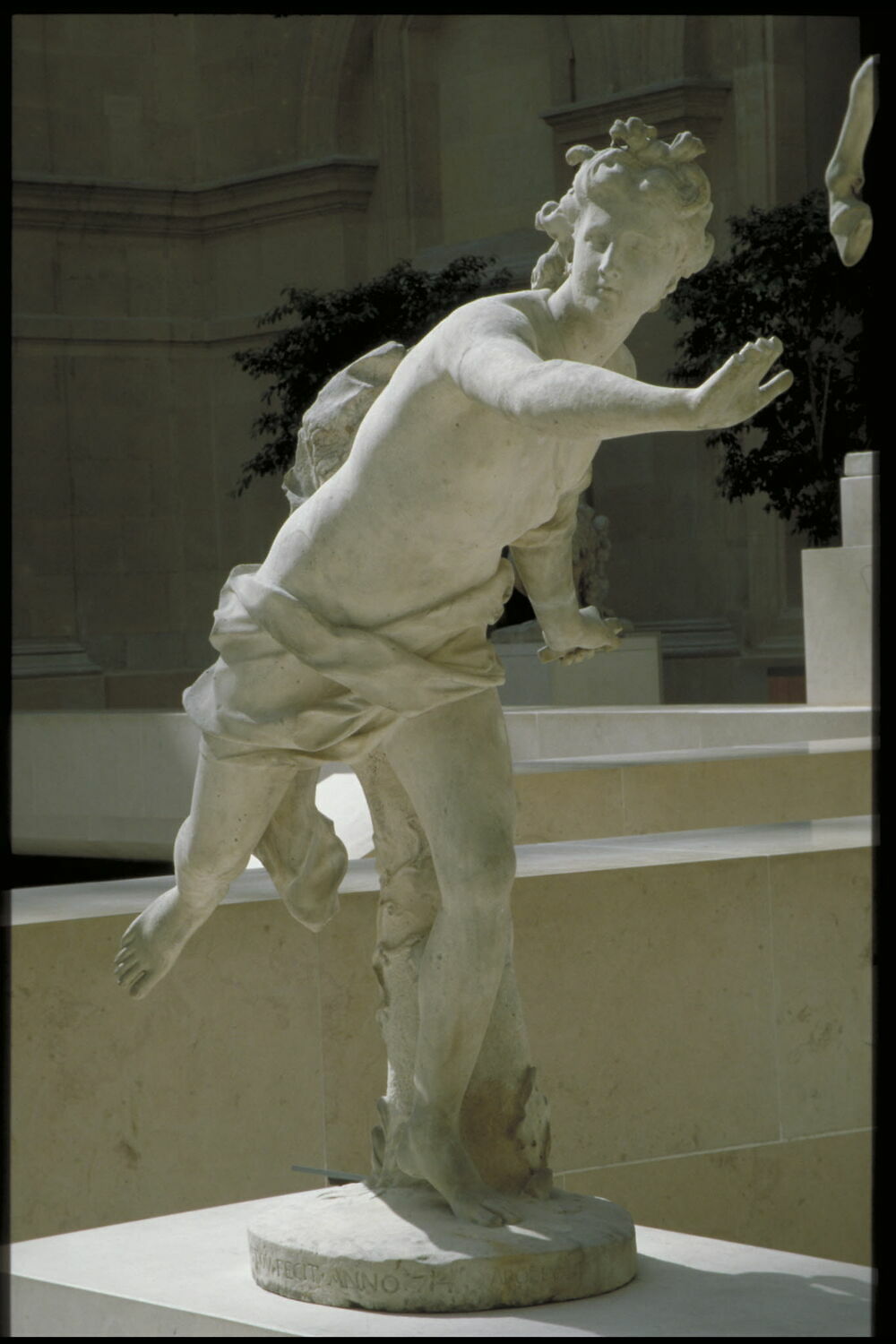 Apollon Poursuivant Daphné Louvre Collections