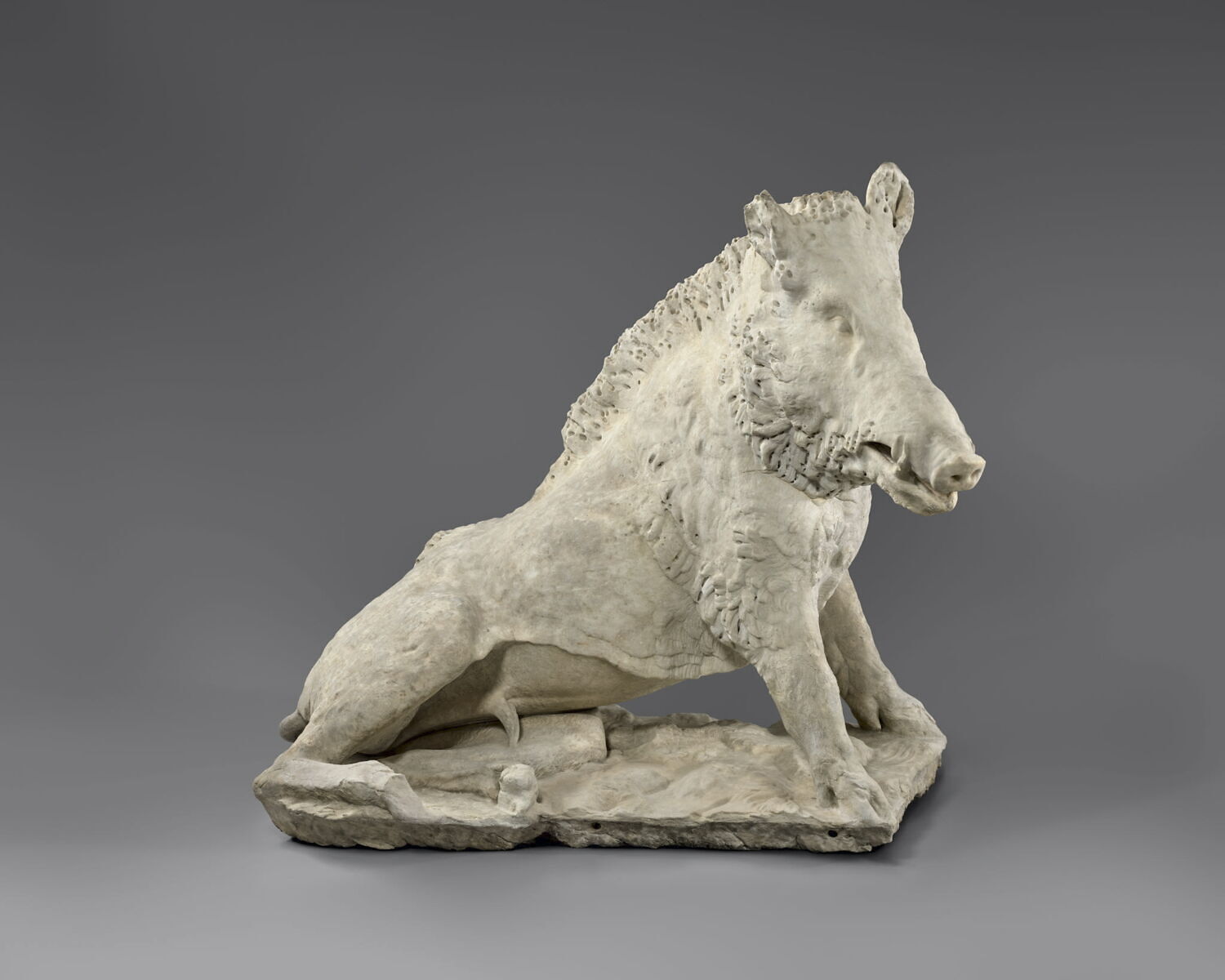 Sanglier, Foggini, Giovanni Battista, 1684 - 1685