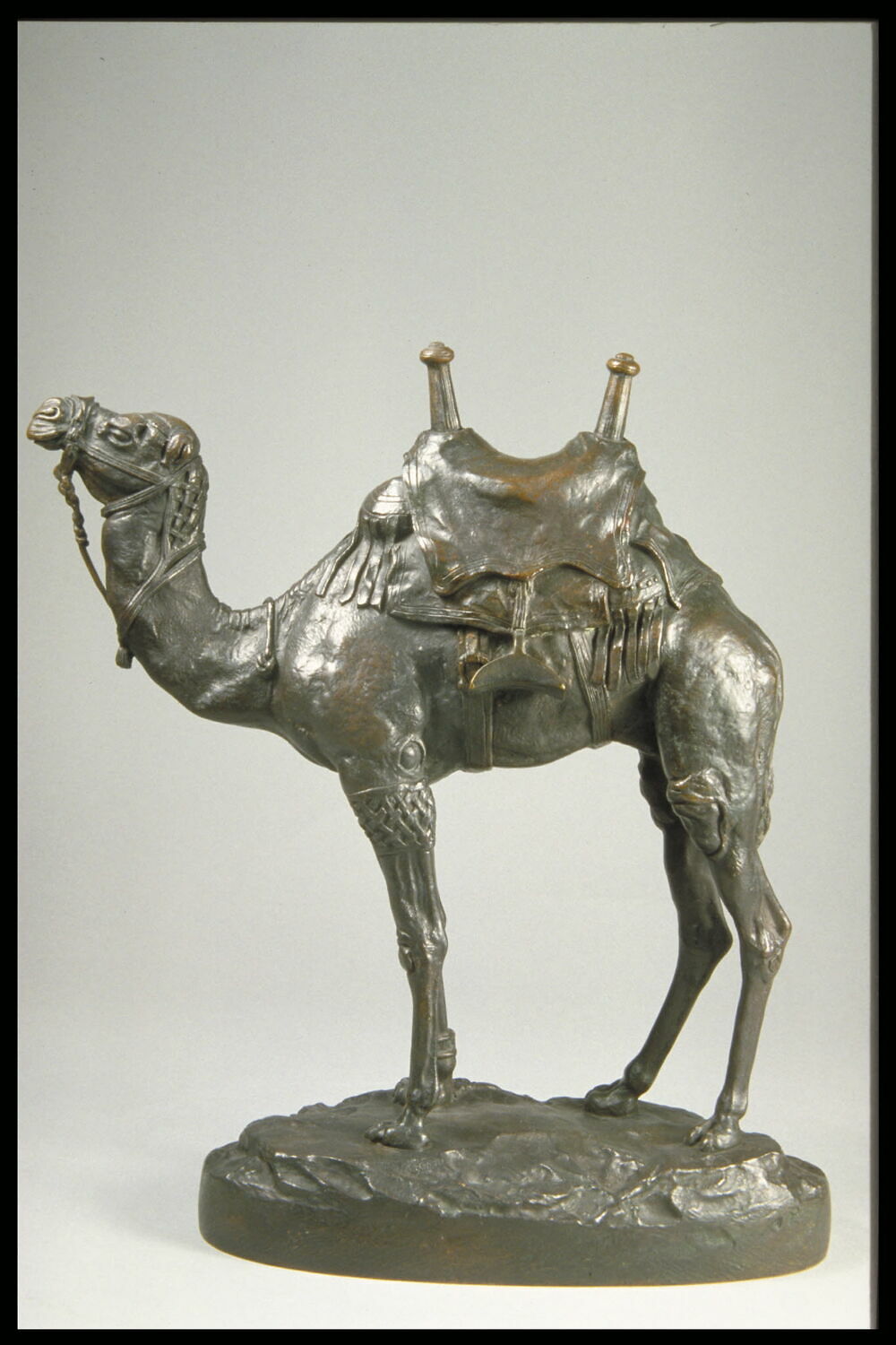 Dromadaire d'Égypte harnaché, Barye, Antoine Louis, avant 1902