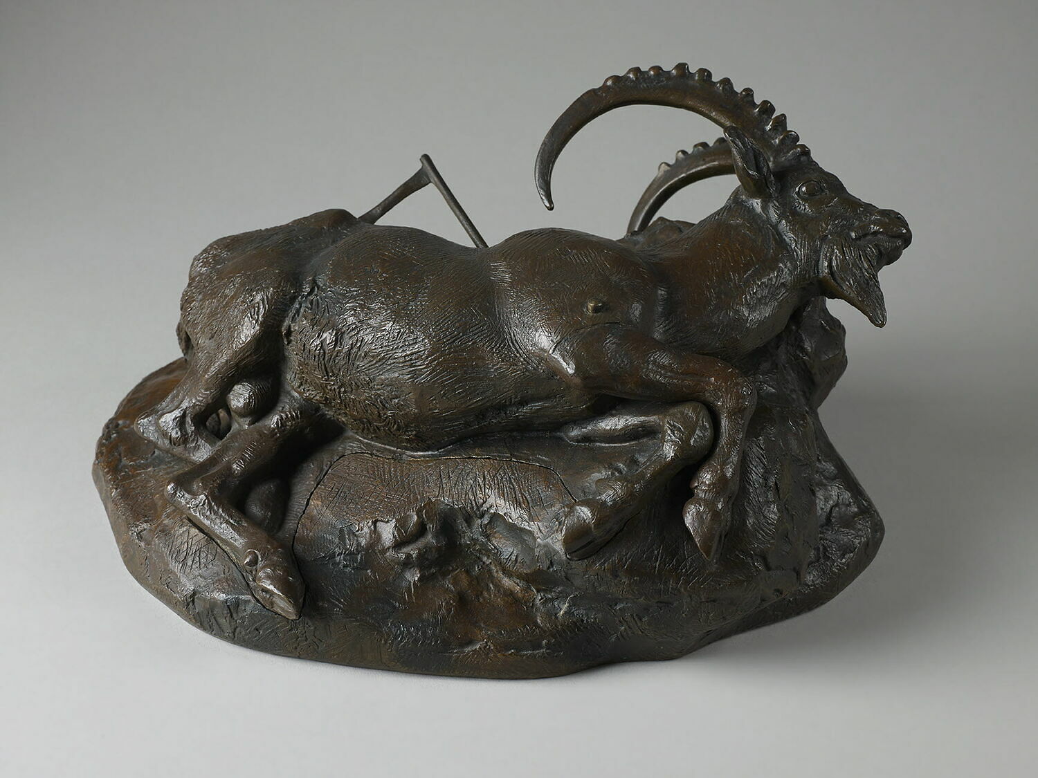 Bouquetin mort, Barye, Antoine Louis, 1800 - 1900