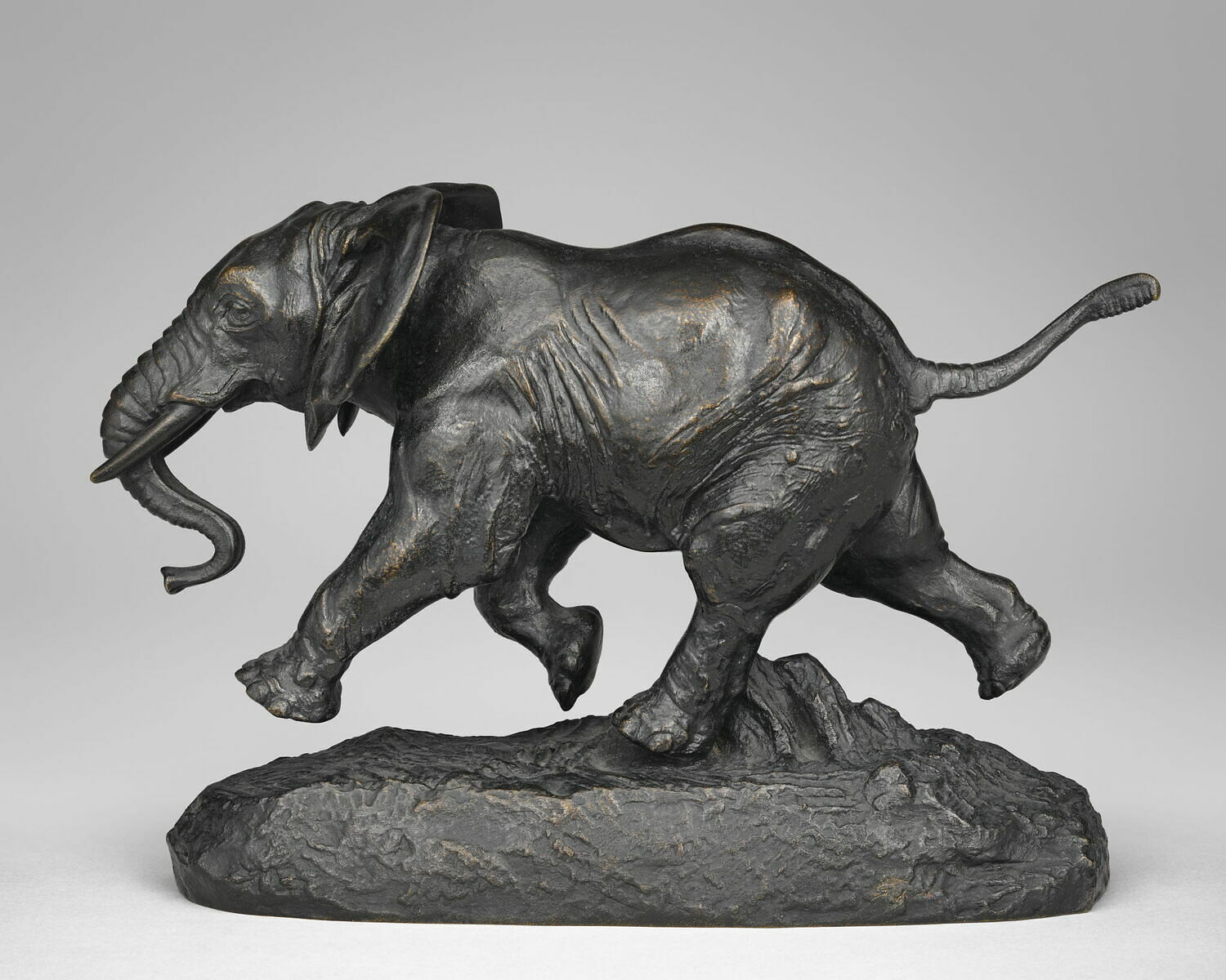 Éléphant du Sénégal chargeant, Barye, Antoine Louis, avant 1875