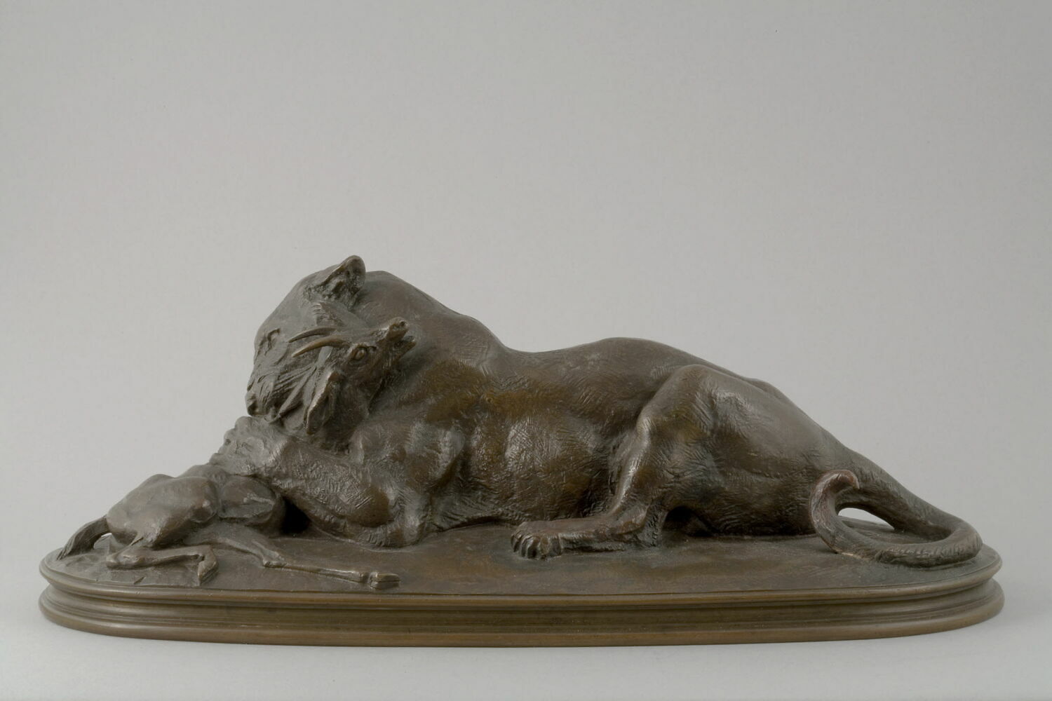 Tigre dévorant une gazelle, Barye, Antoine Louis, 1800 - 1900