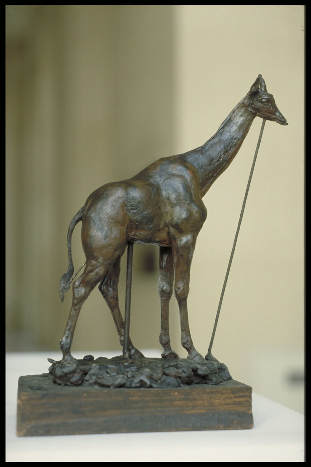 Girafe Louvre Collections