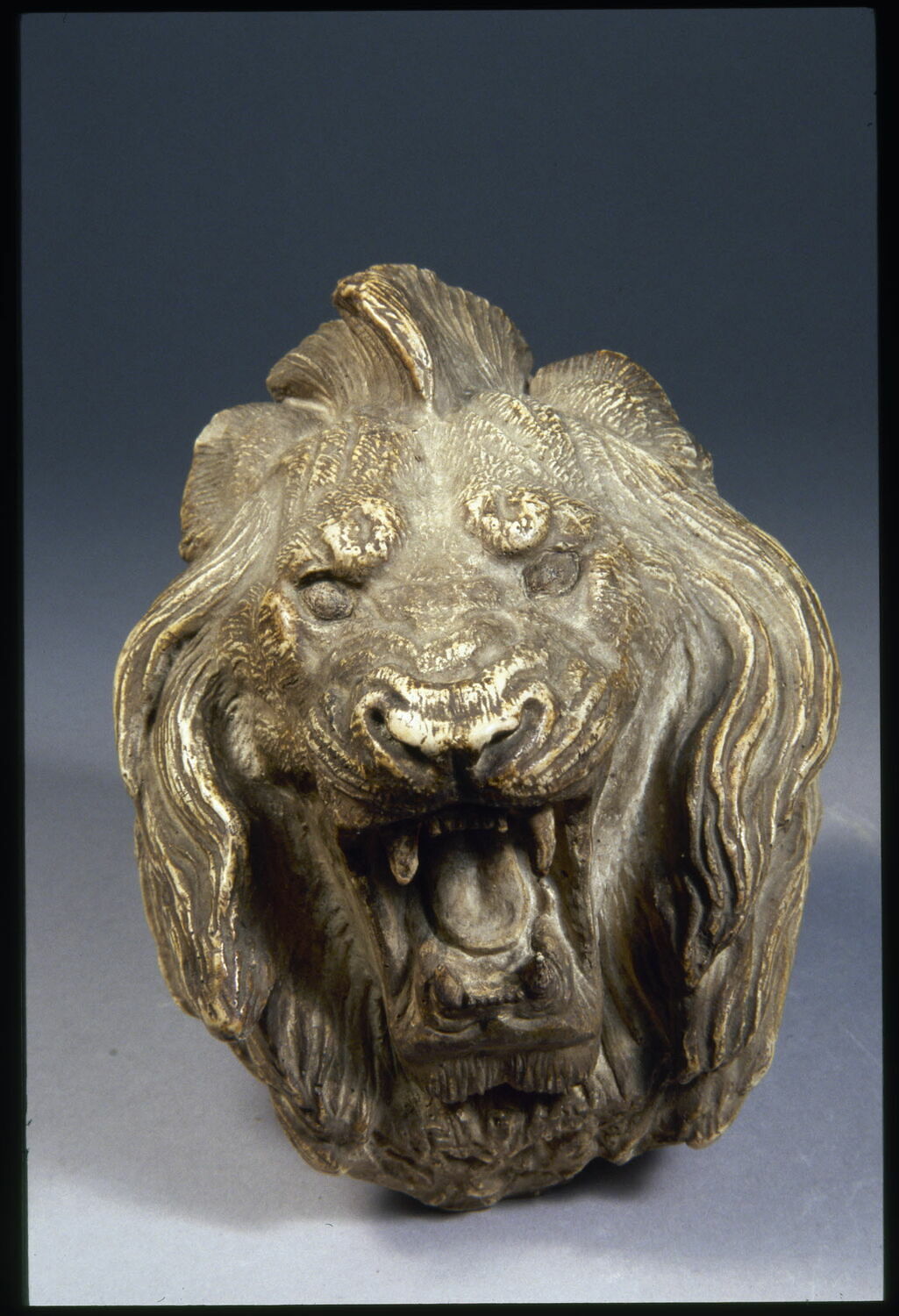 Tête de lion, Barye, Antoine Louis, 1852