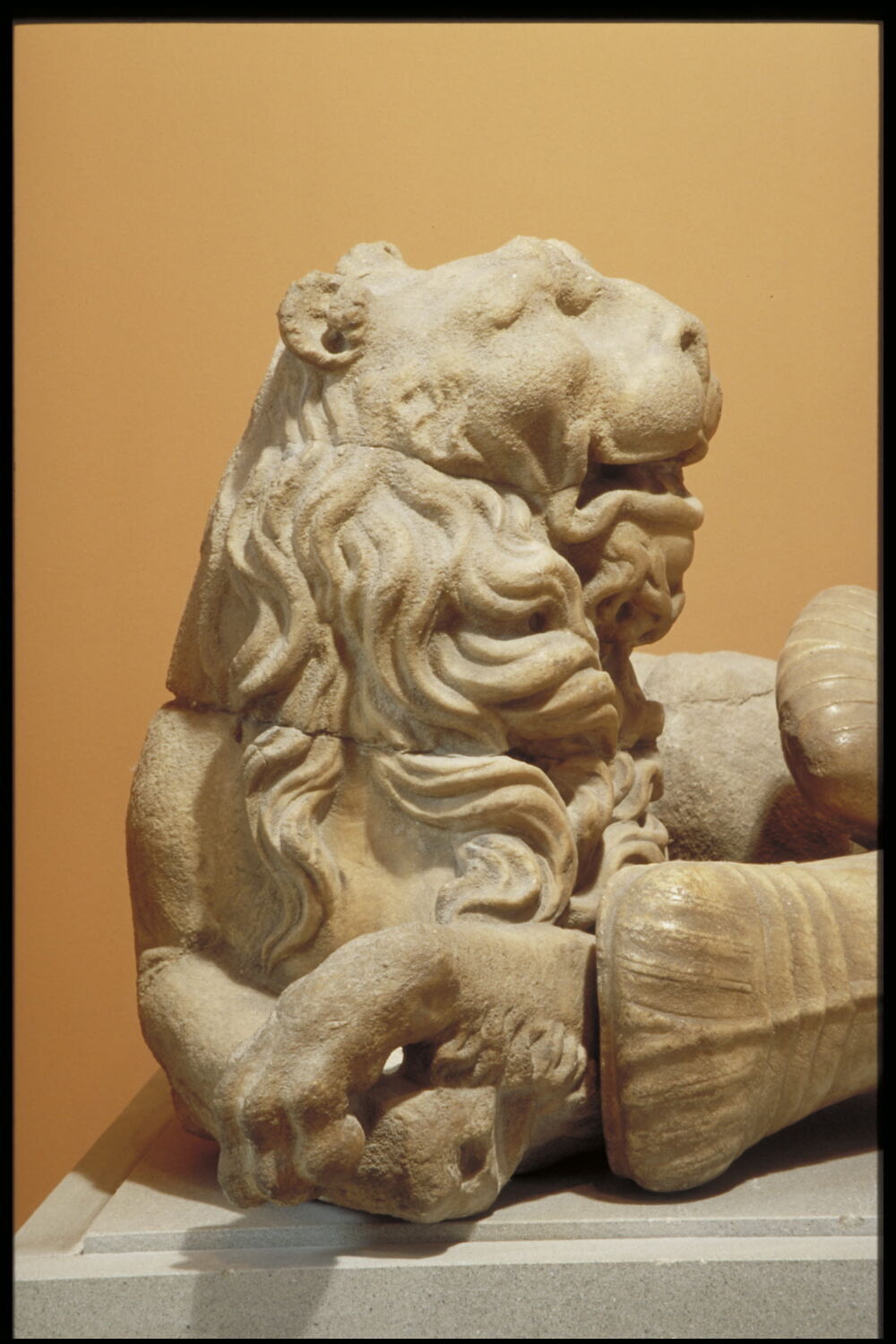 Lion Louvre Collections