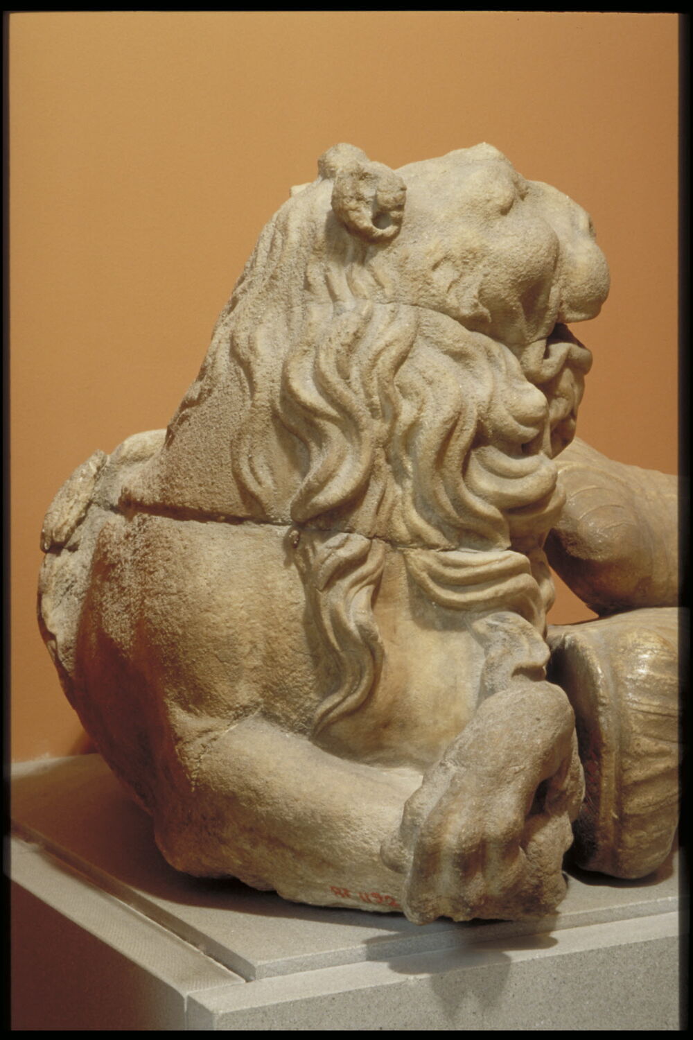 Lion Louvre Collections