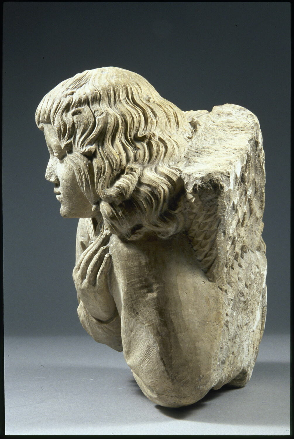 Buste d'ange Louvre Collections