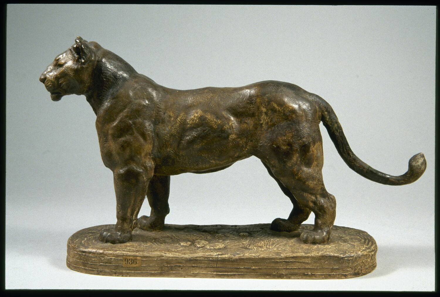 Lionne d'Algérie, Barye, Antoine Louis, 1800 - 1900