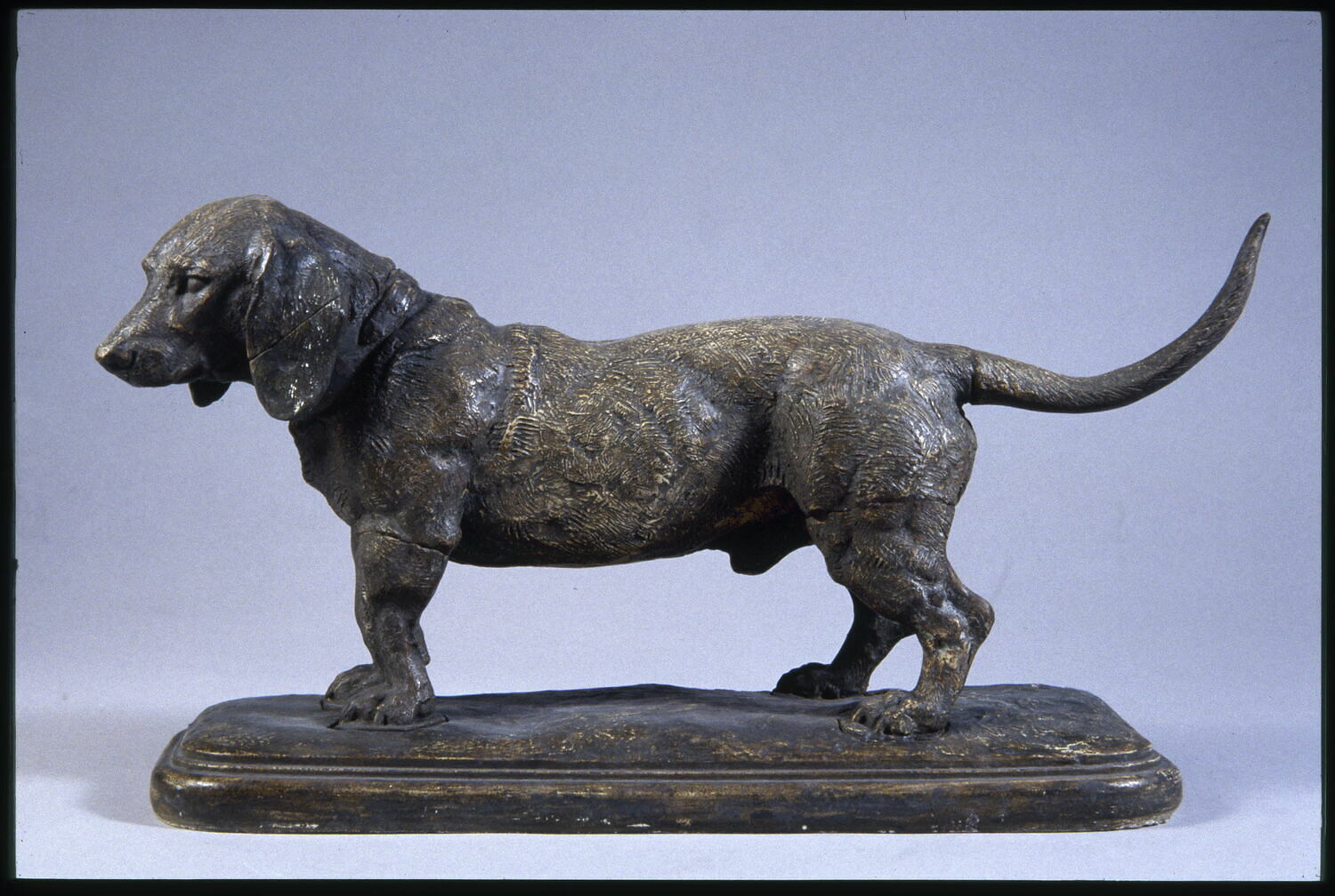 Basset debout, Barye, Antoine Louis, 1800 - 1900
