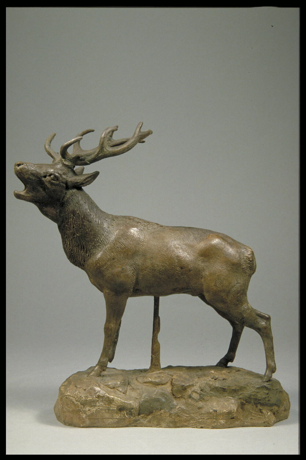 Cerf qui brame, Barye, Antoine Louis, avant 1875