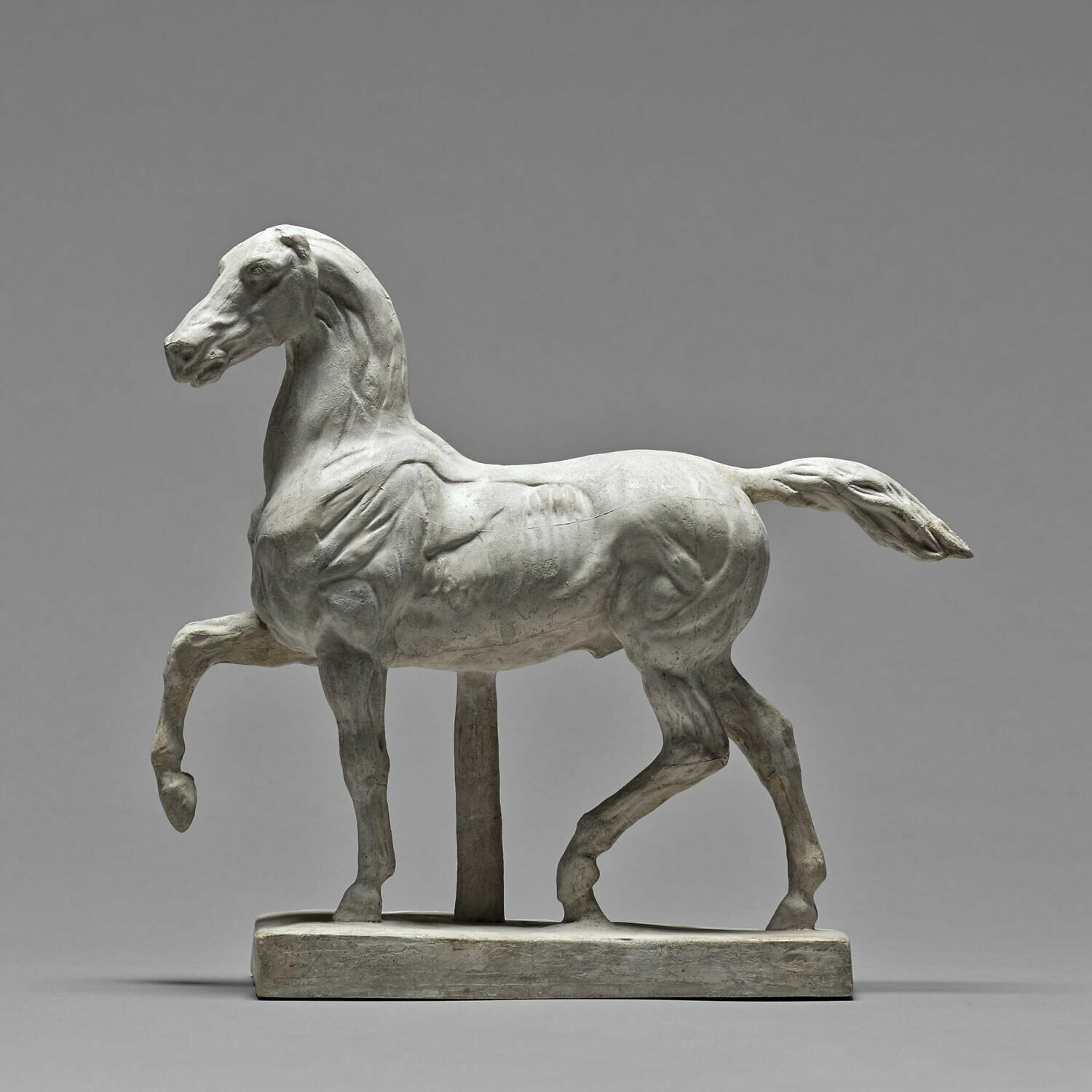 Cheval écorché, Géricault, Théodore, 1800 - 1825