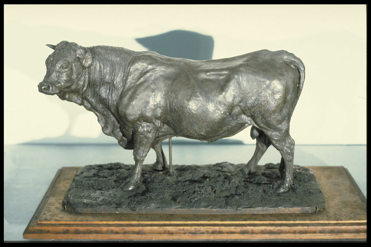 Taureau normand, Mène, Pierre Jules, 1844