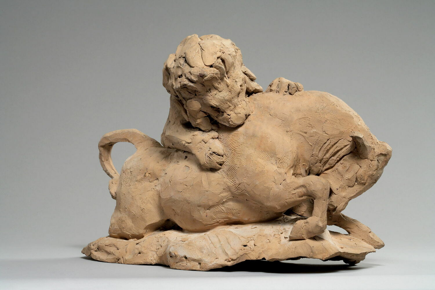 Taureau terrassé par un lion, Barye, Antoine Louis, 1800 - 1900