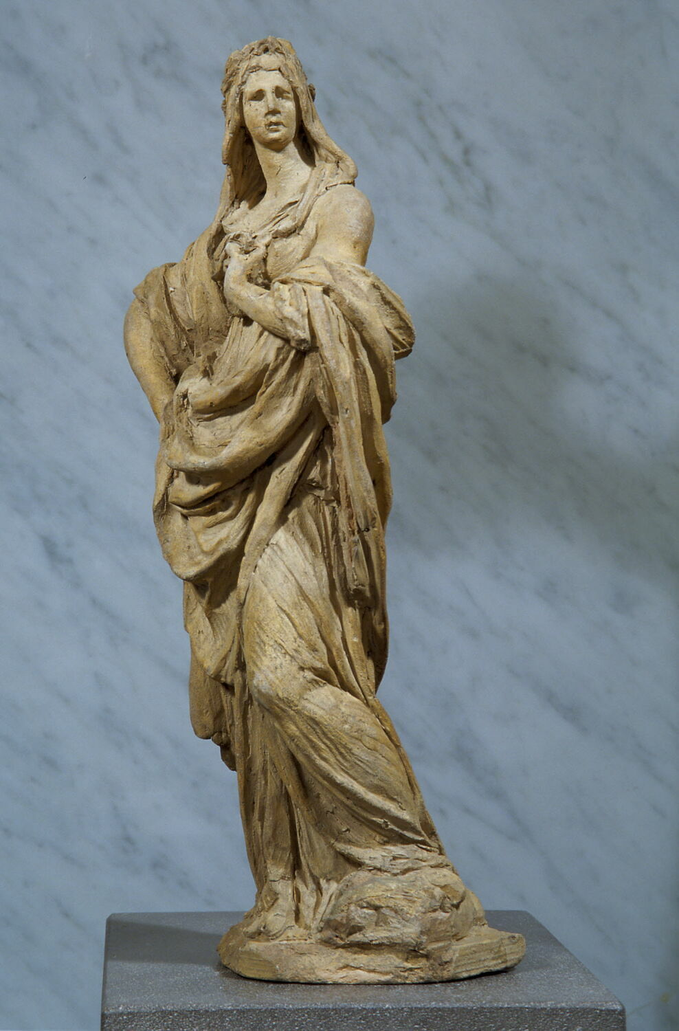 Engrais Organique En Granulés De Laine Retenant L'eau - France