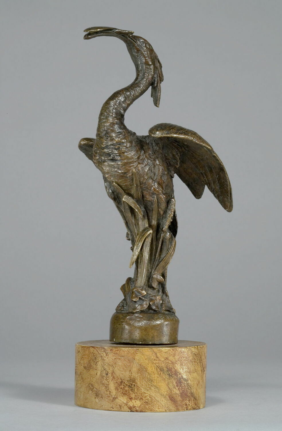 Spatule dévorant un poisson, France, 1800 - 1900