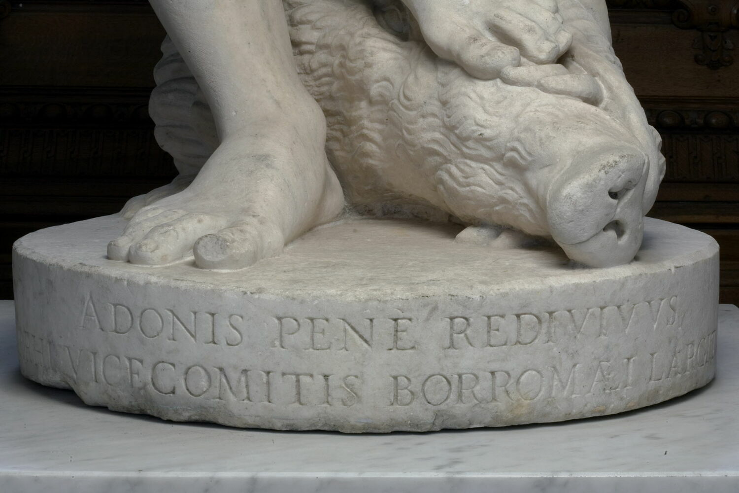 Adonis Louvre Collections