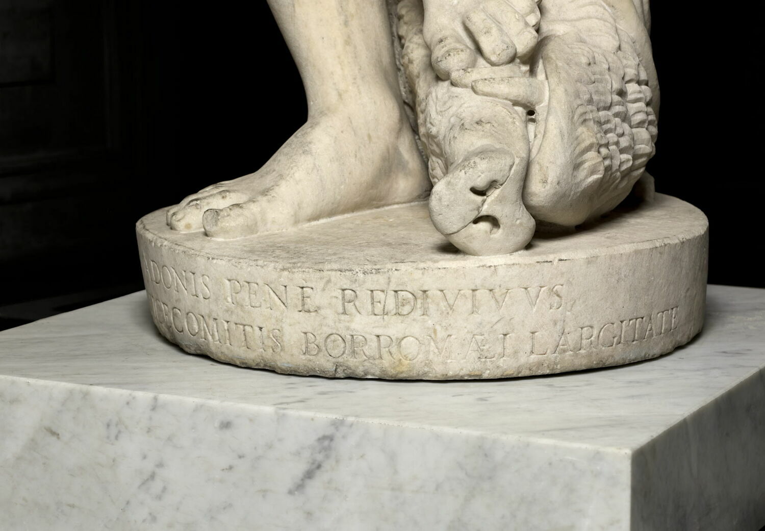 Adonis Louvre Collections