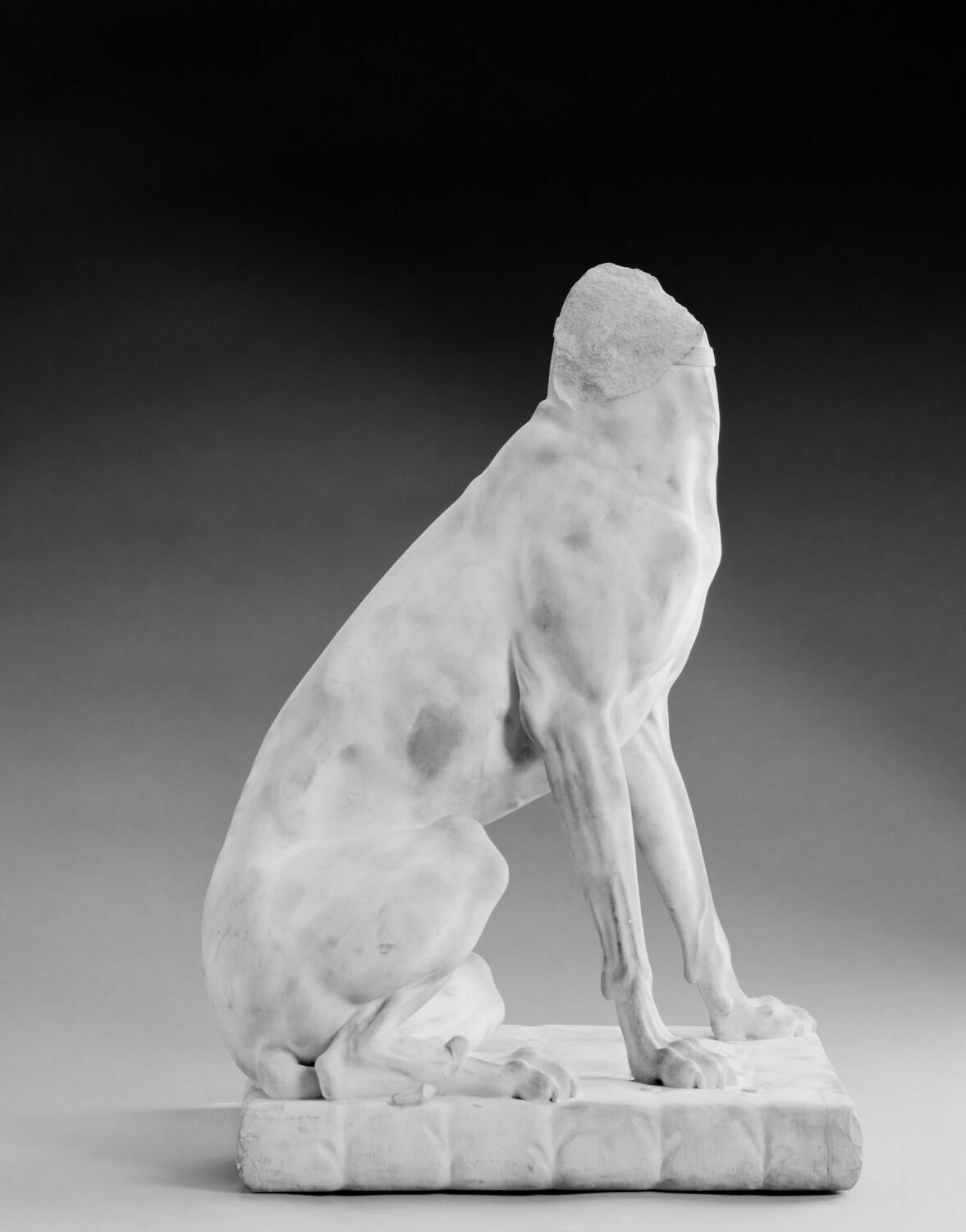 Levrette, Plantar, Jean-Baptiste-Louis, 1800 - 1900