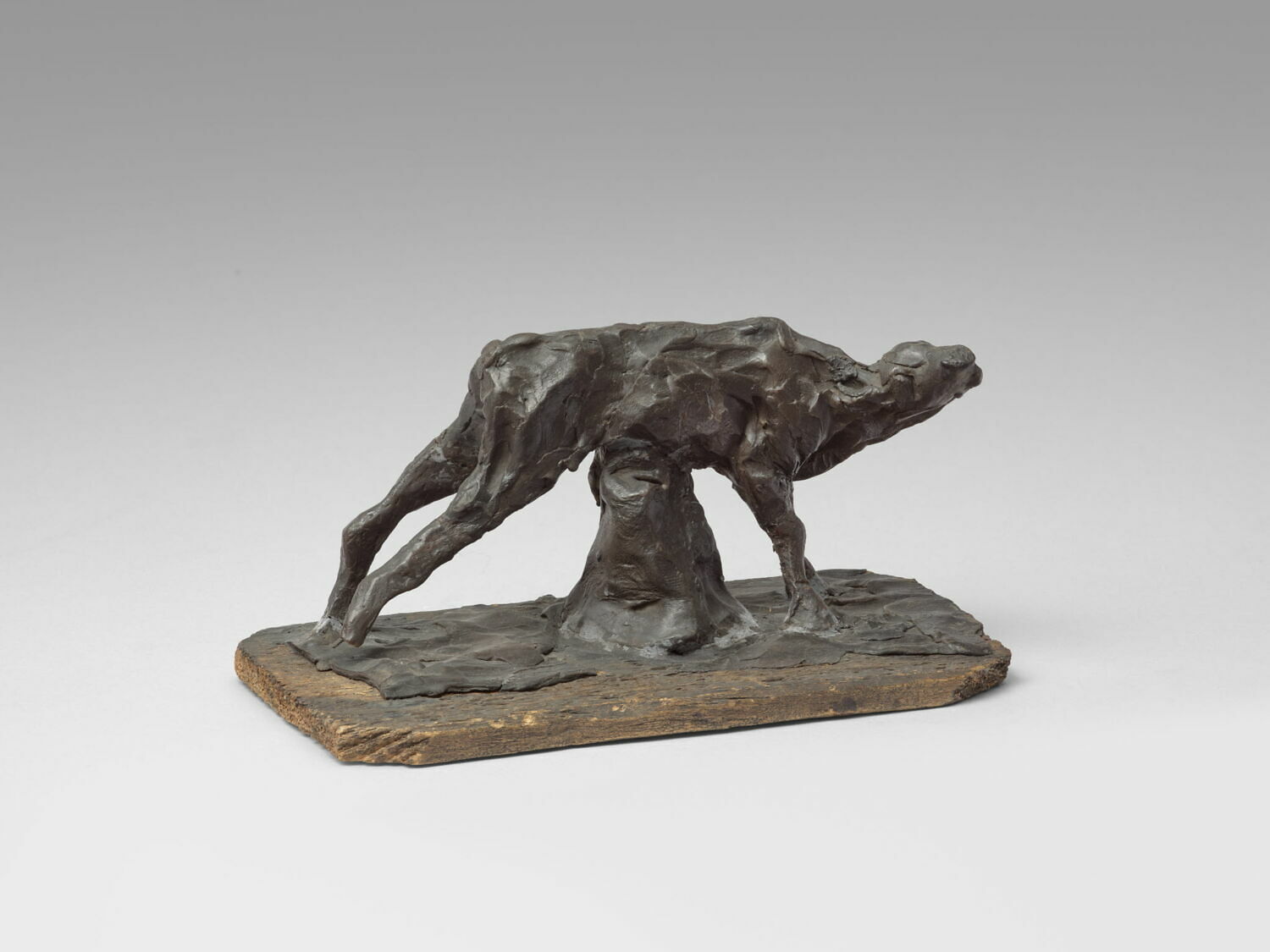 Veau tétant sa mère, Mène, Pierre Jules, 1800 - 1900