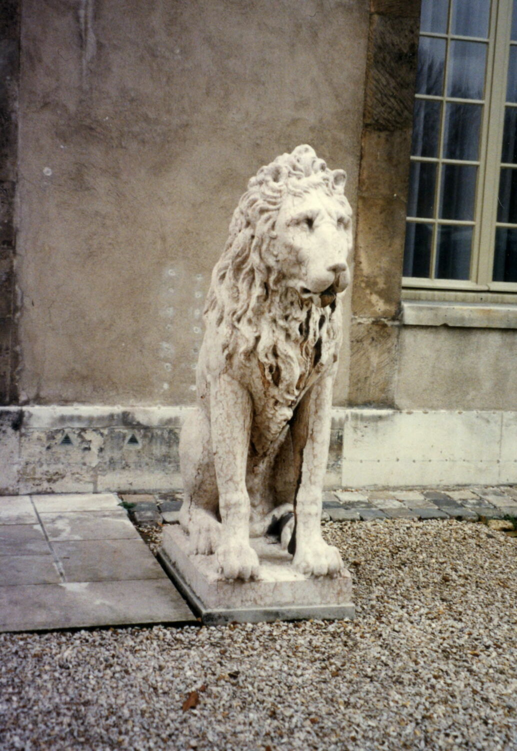 Lion Louvre Collections