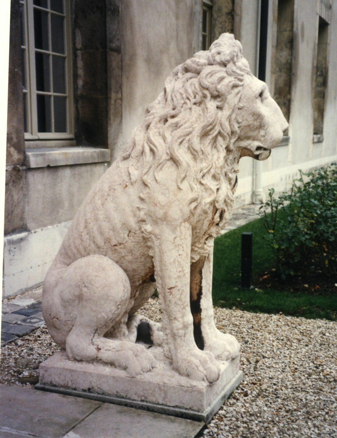 Lion Louvre Collections