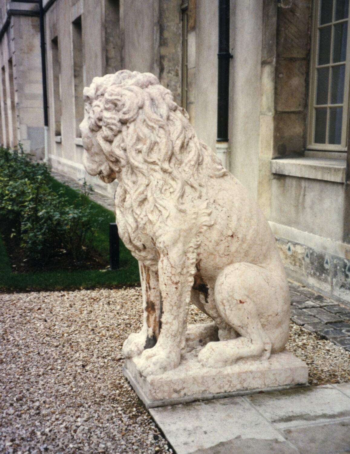 Lion Louvre Collections