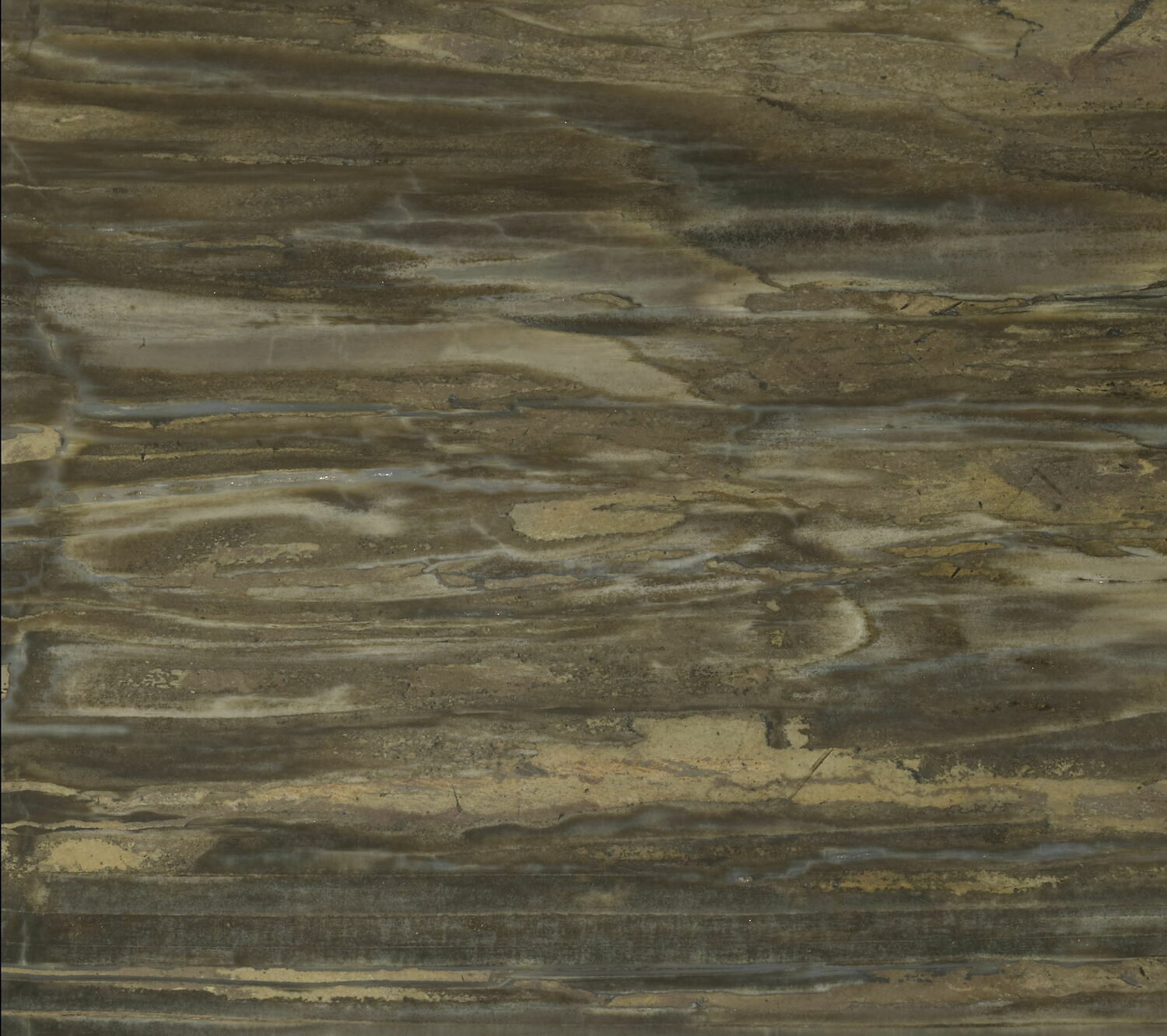 Plateau de table en bois pétrifié, d'un ensemble de quatre