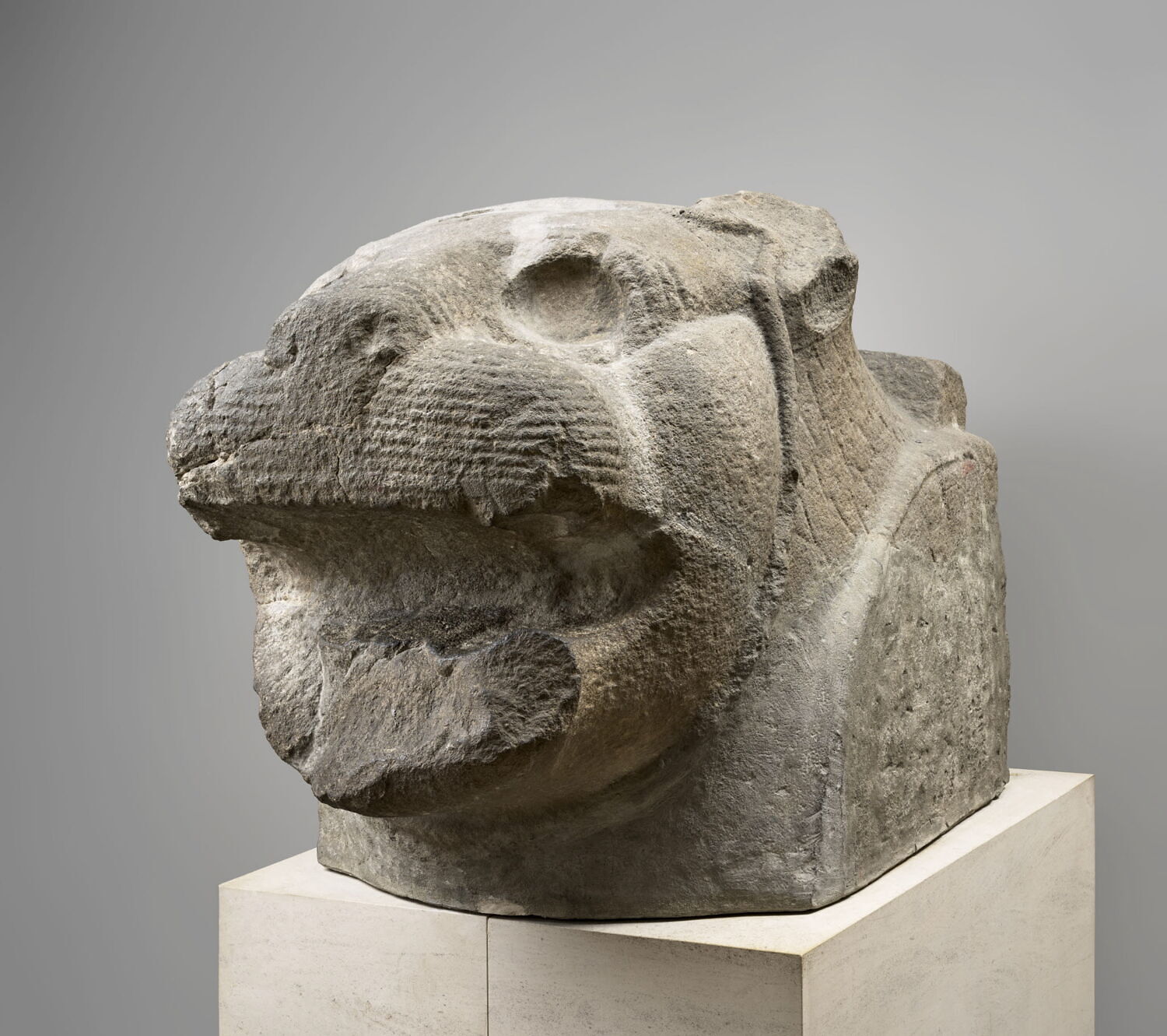 Tête colossale de lion, Néo-hittite (IXe s) (-900 - -800)