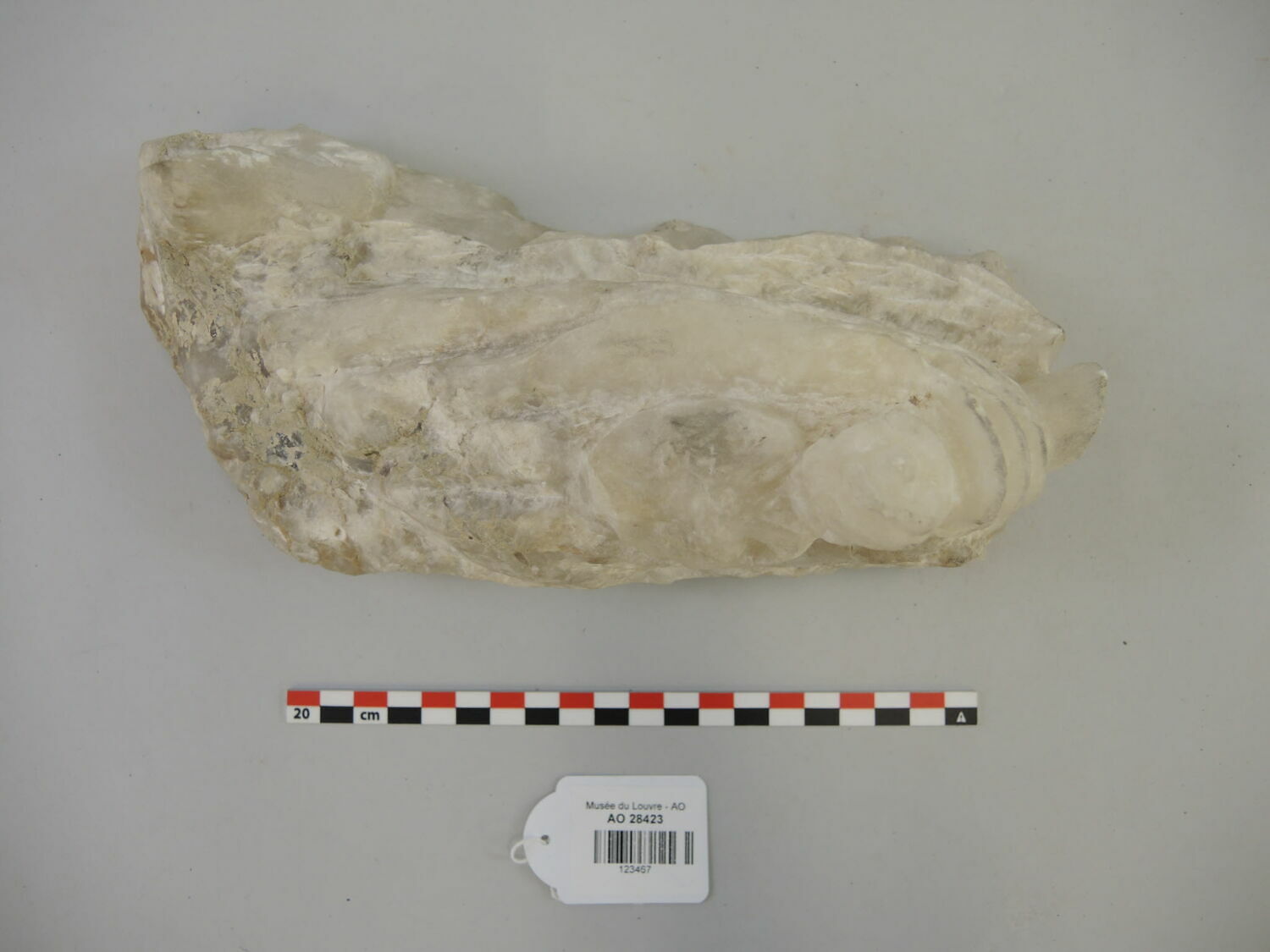relief, Parthe (IIe s ap JC) (-247 - 224)