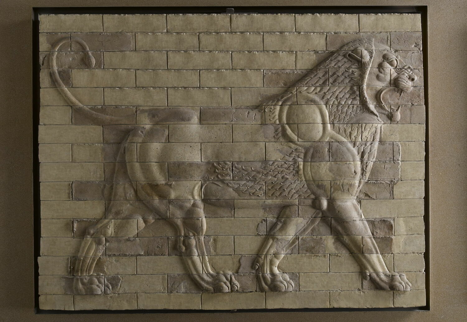 panneau de briques, Achéménide : Darius I (-522 - -486)