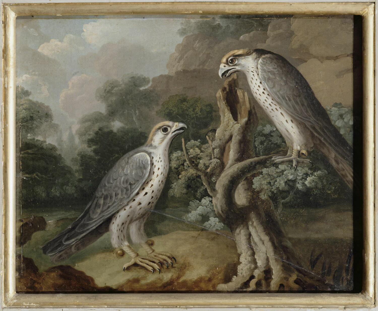 Deux faucons, Anonyme, XVIIe siècle (1600 - 1700)