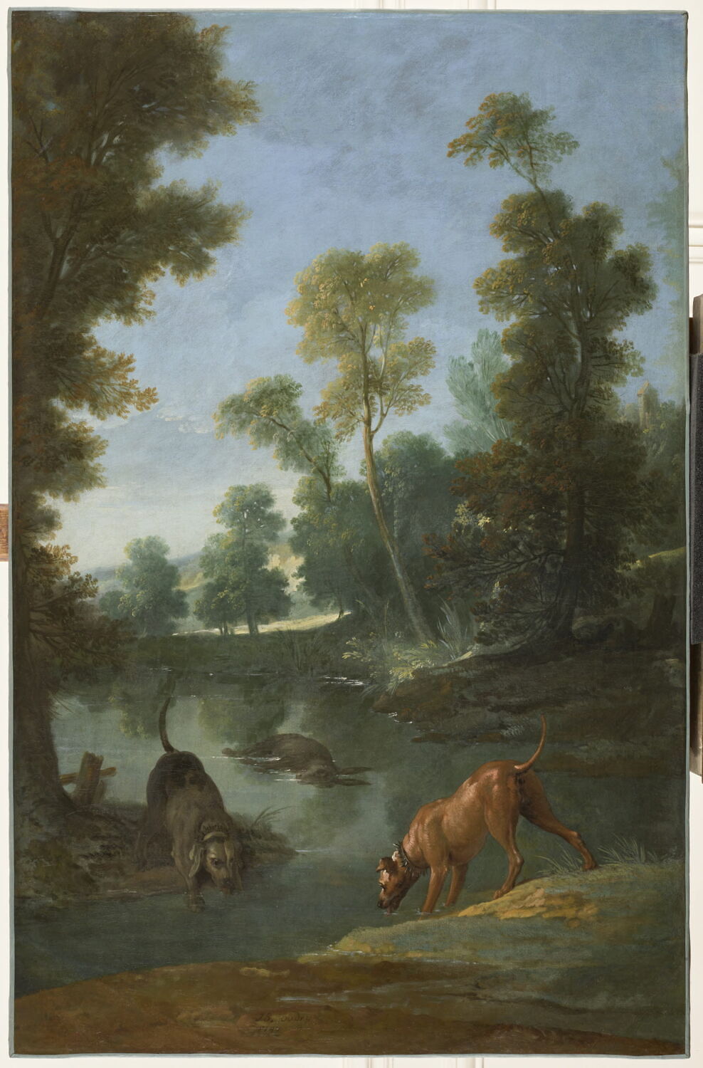 Les deux chiens et l'âne mort, Oudry, Jean-Baptiste, Milieu du XVIIIe siècle (1747)