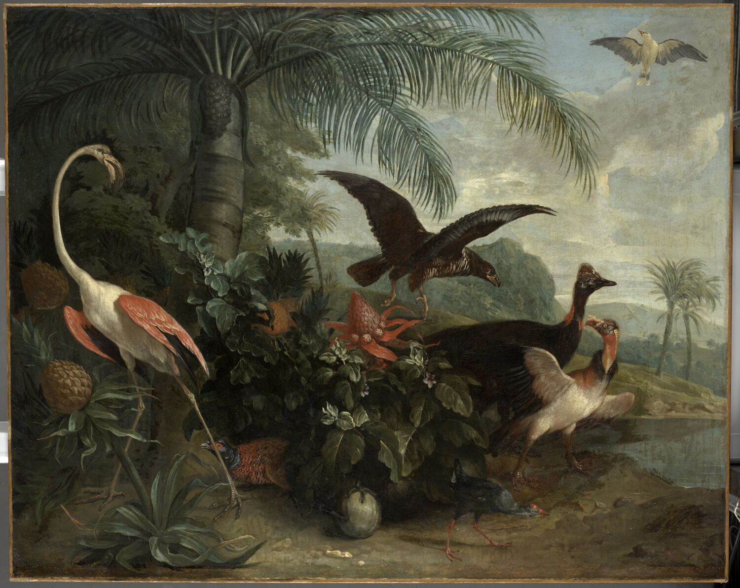 Oiseaux dans un paysage exotique., Desportes, Alexandre-François, 1e quart du XVIIIe siècle (1700 - 1725)