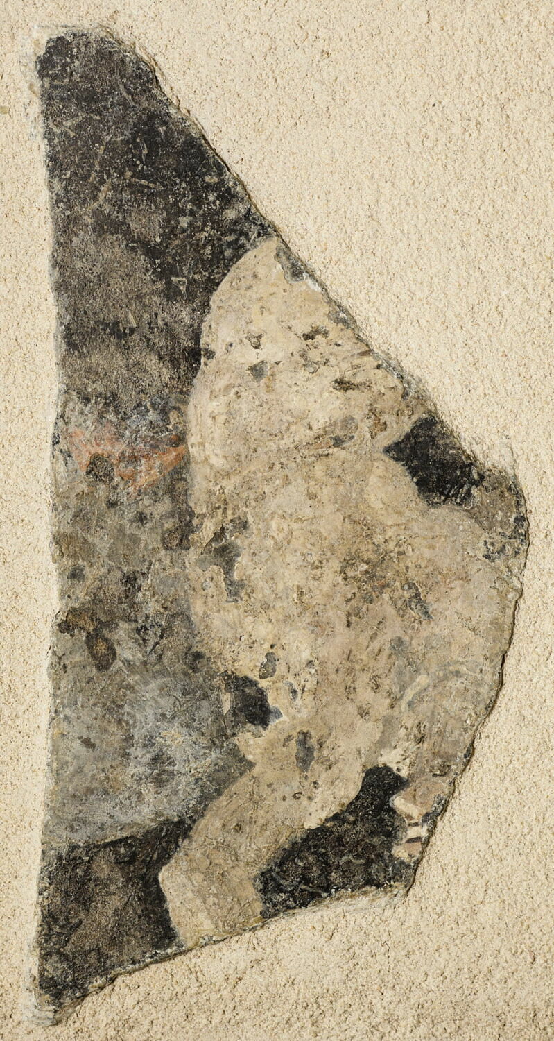 peinture murale, romain impérial

Date de création/fabrication : Ie s. ap. J.-C. (1 - 100)