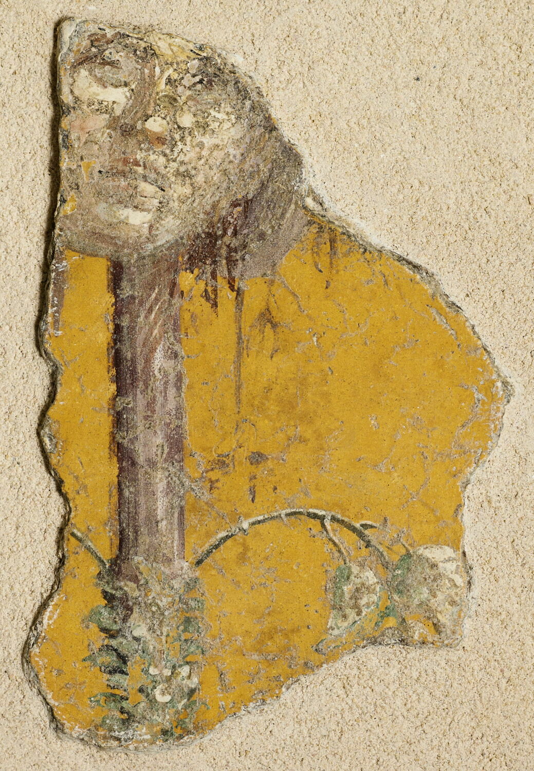 peinture murale, romain impérial

Date de création/fabrication : Ie s. ap. J.-C. (1 - 100)