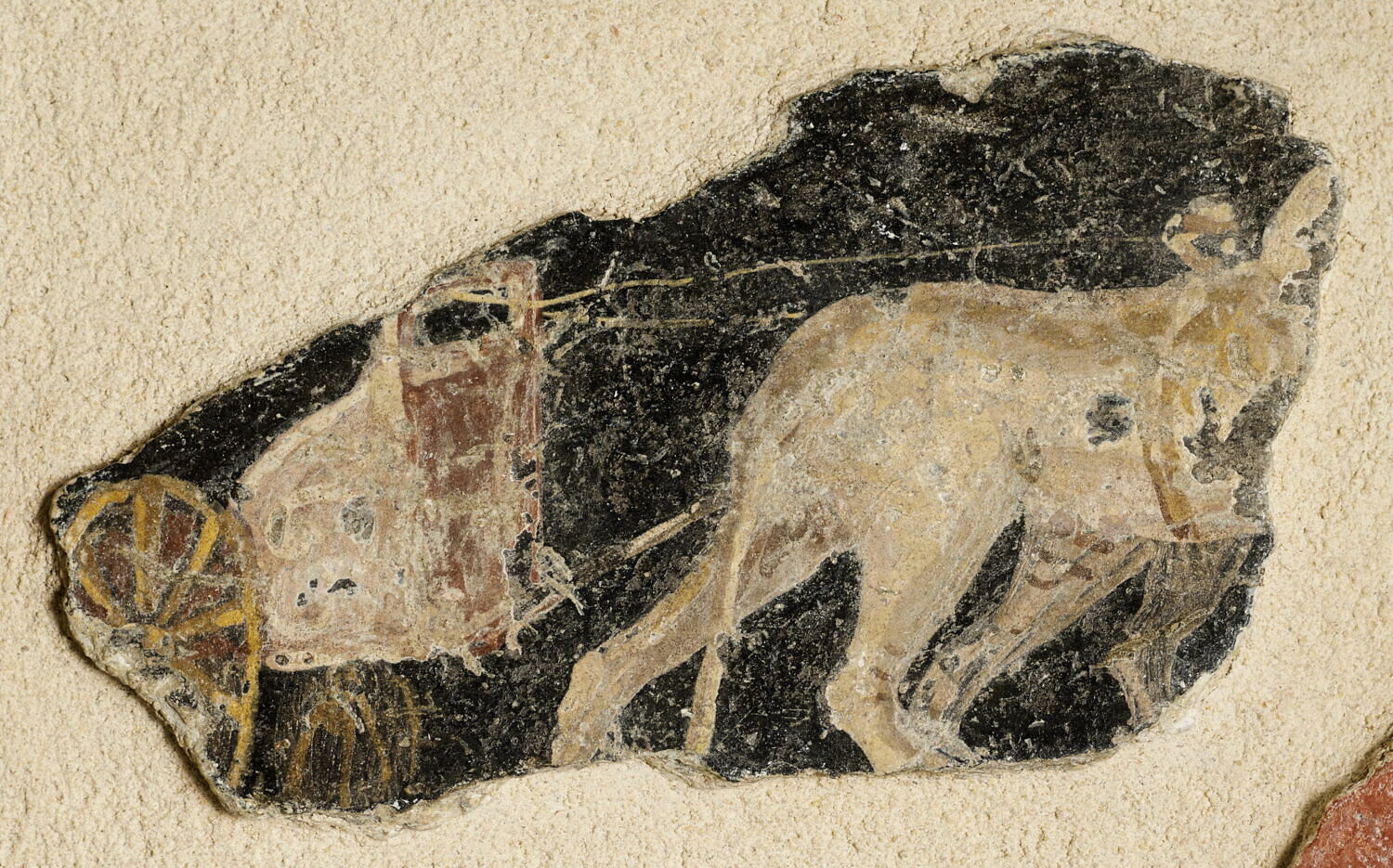 peinture murale, romain impérial

Date de création/fabrication : Ie s. ap. J.-C. (1 - 100)