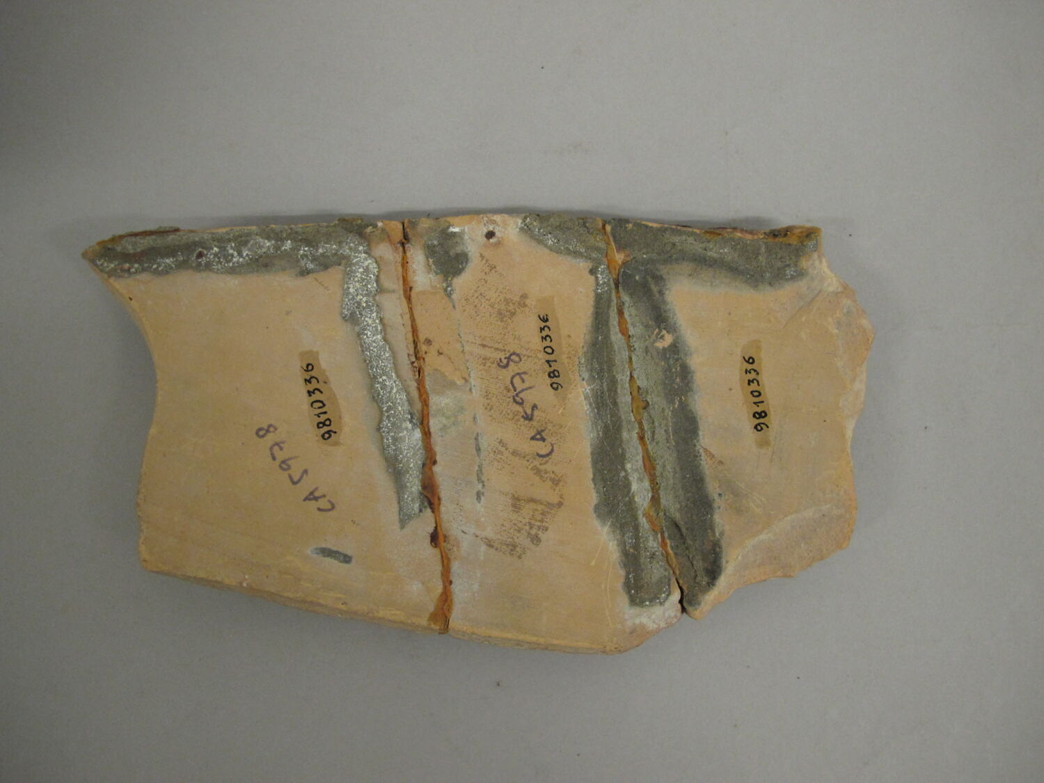 View 5