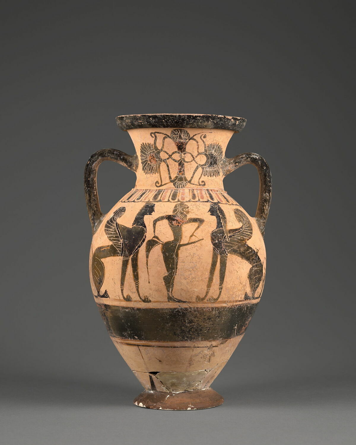 amphore