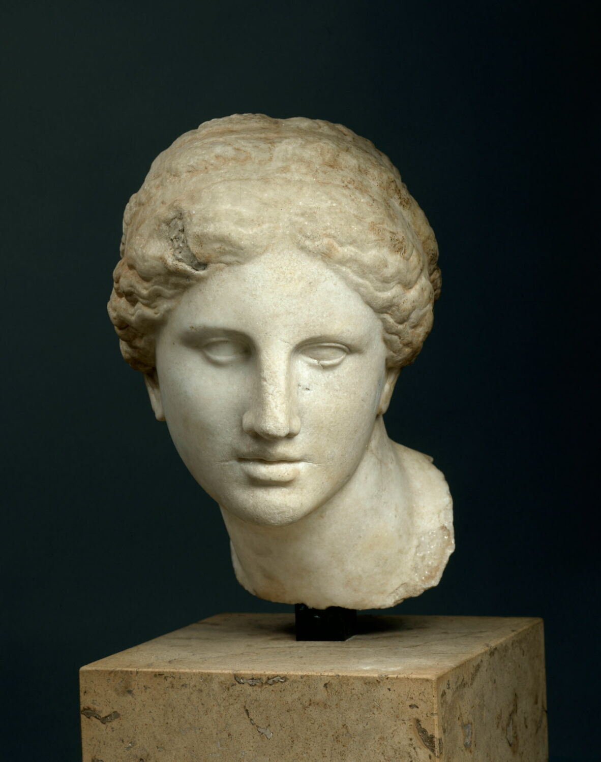 Tête de l'Aphrodite Kaufmann Louvre Collections