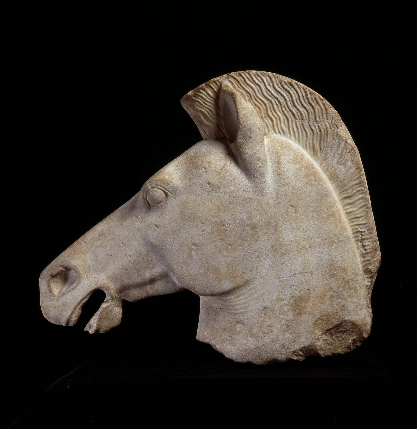 Tête de cheval, archaïque

Date de création/fabrication : 4e quart VIe s. av. J.-C. (fin) (vers -510 - -500)