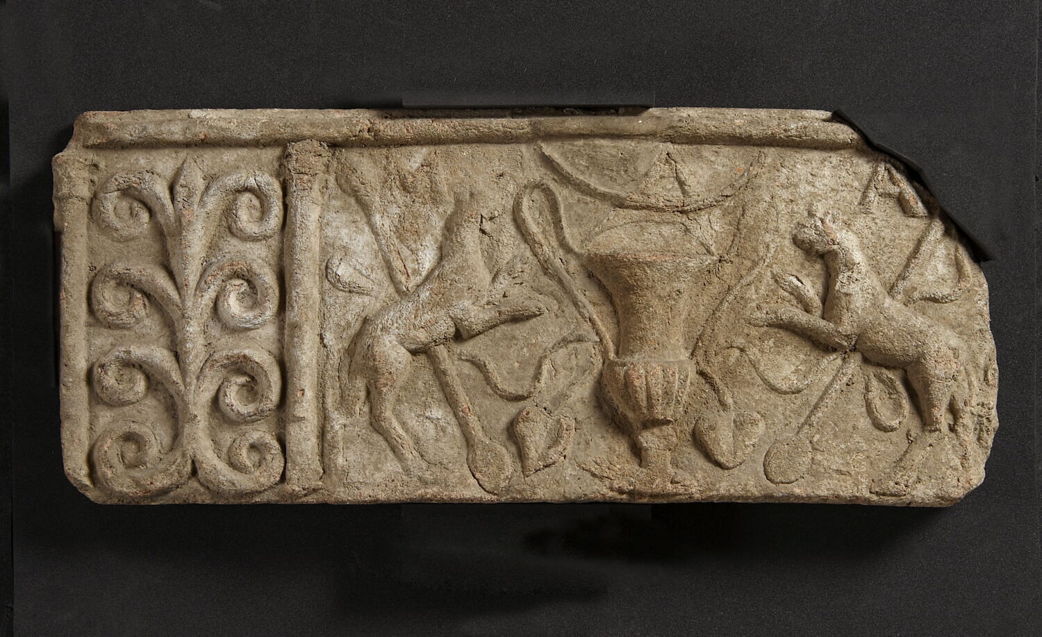 plaque Campana ; chéneau