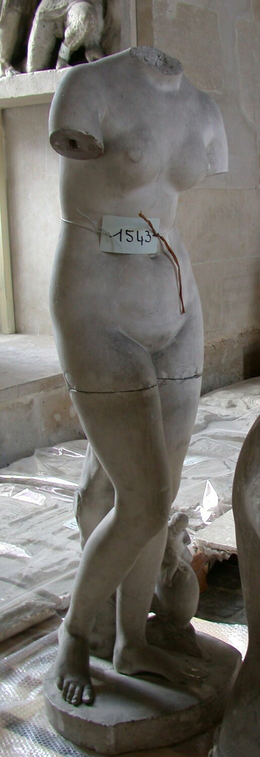 Vénus Médicis Louvre Collections