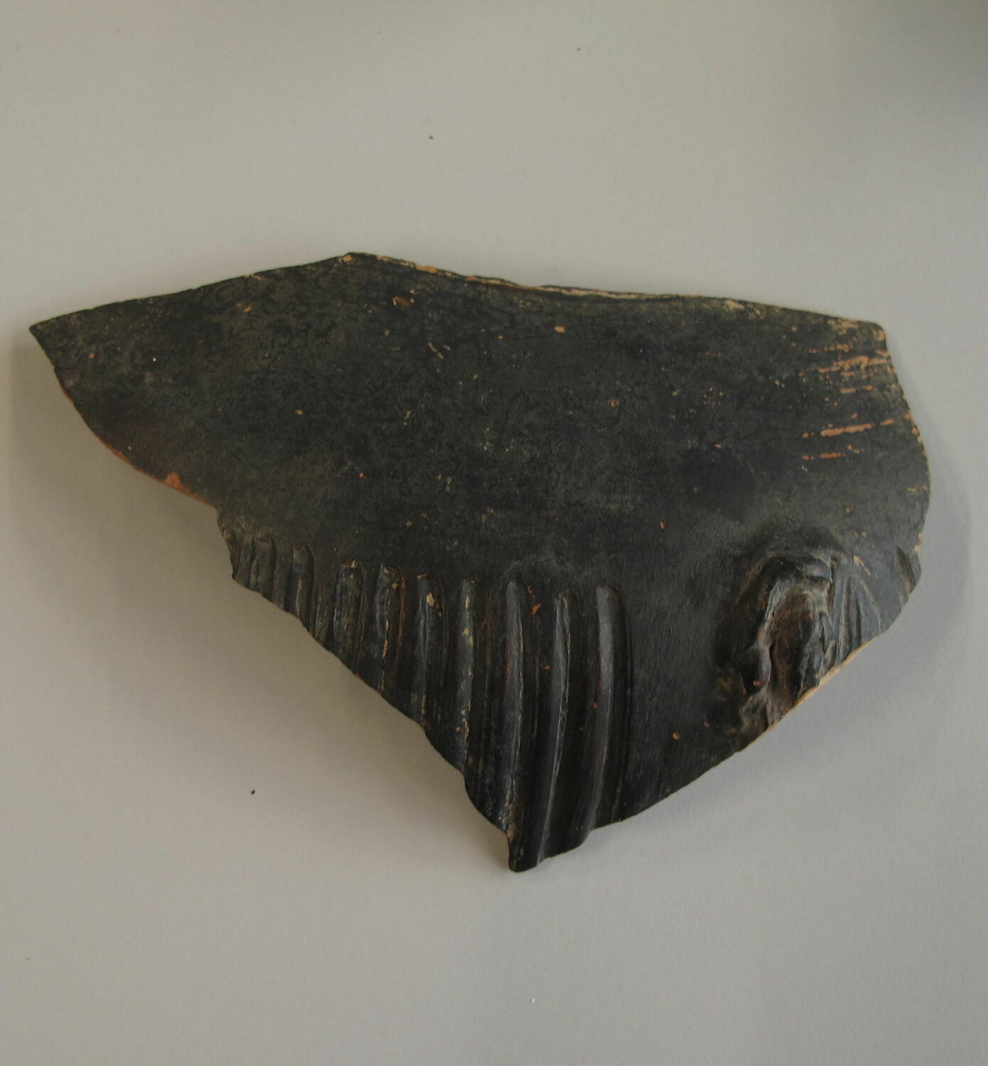 amphore