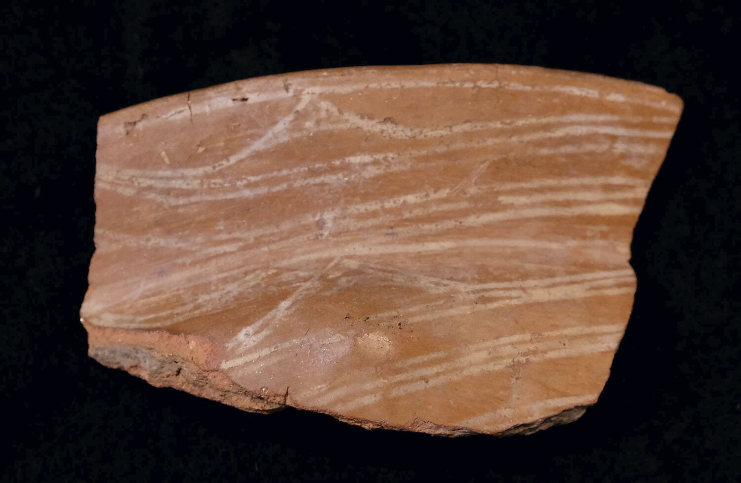vase ; fragment