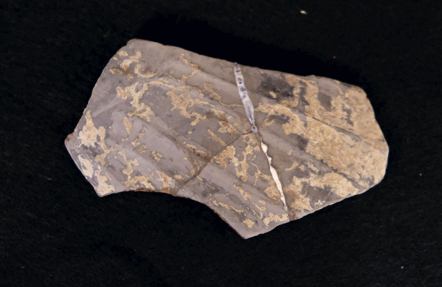 vase ; fragment