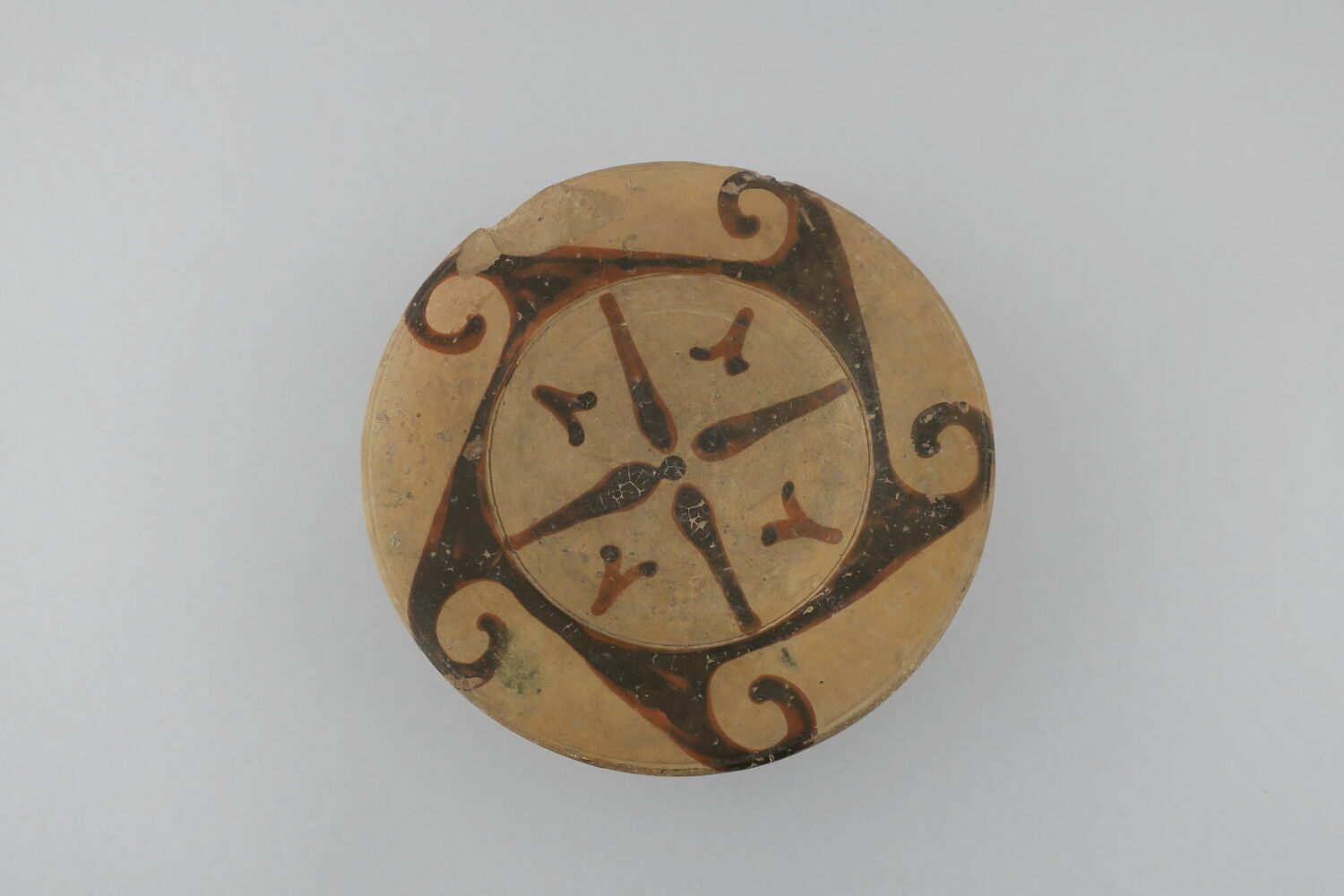 plat ; assiette  ; coupe