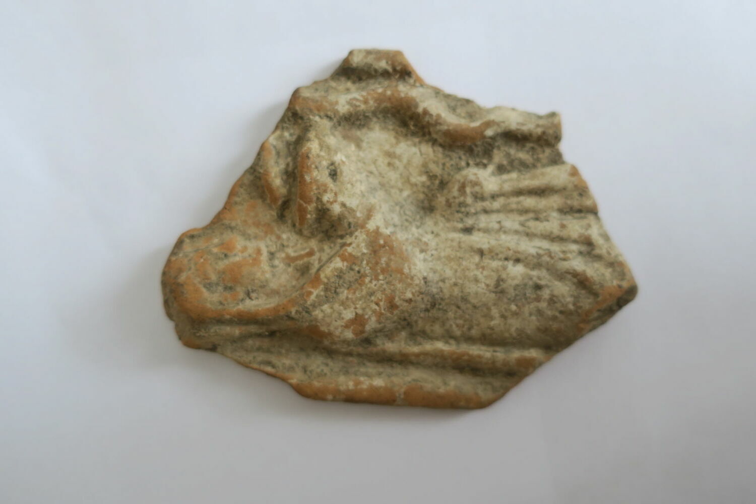relief ; fragment