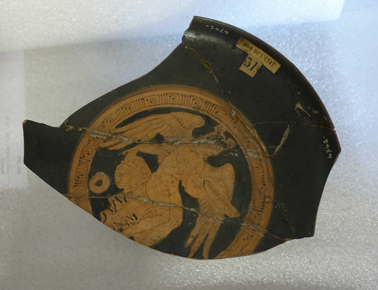 coupe ; fragment