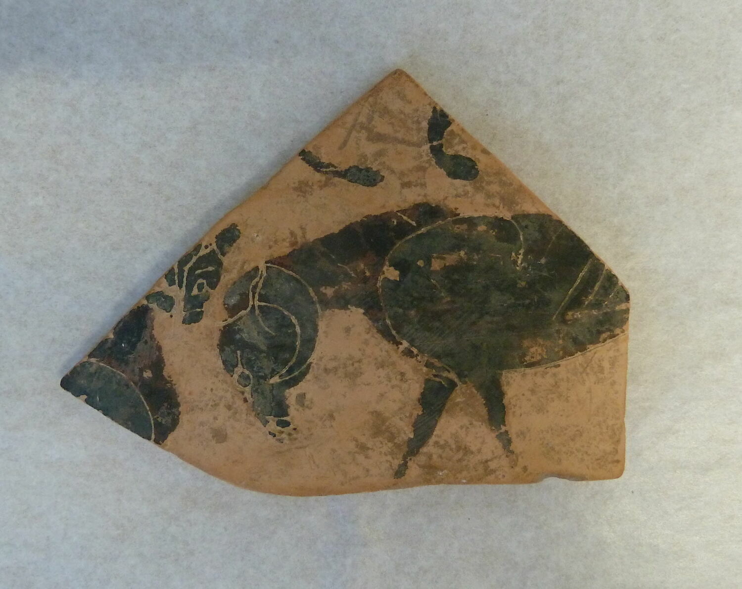 vase ; fragment